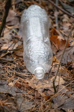 A bottle of water is laying on the ground in a forest. The bottle is empty and has a silver cap. The scene is quiet and peaceful, with the bottle being the only object in the image