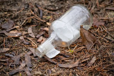 A bottle is laying on the ground with a piece of paper taped to it. The bottle is empty and the paper is torn. The scene is desolate and abandoned, with the bottle