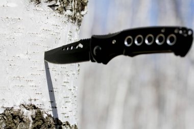 Ağaç gövdesinden bir bıçak sarkıyor. Bıçak siyah ve sapı var. Bıçak keskin ve sivri.