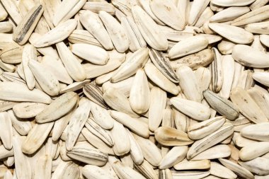 A pile of white sunflower seeds. The seeds are scattered all over the image. The image has a peaceful and calming mood