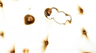 A piece of paper has been burnt and has a hole in it. The burnt paper has a lot of holes and is very damaged