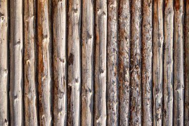 A row of wooden logs, with some of them being slightly crooked. The logs are arranged in a way that creates a sense of depth and texture, giving the impression of a natural, rustic environment