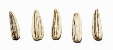 A close up of five sunflower seeds. The seeds are all different sizes and shapes. Concept of variety and diversity