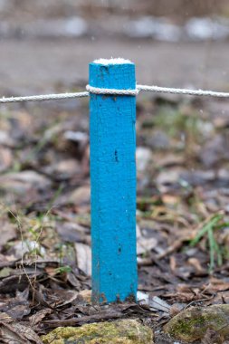 A blue wooden post with a rope tied to it. The post is in a field with a lot of leaves and snow