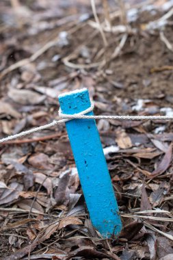 Üzerinde halat olan mavi tahta bir direk. Posta bir yaprak ve toprak tarlasında.