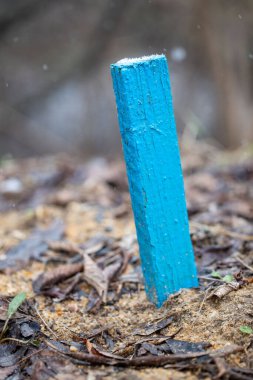 Toprağın üstünde mavi bir tahta direk duruyor. Posta maviye boyanmış ve etrafı yapraklar ve toprakla çevrili.