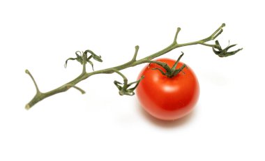 Bir domates bir sapın üzerinde oturuyor. Kökü ince ve domates yuvarlak.