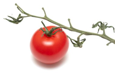 Beyaz arka planda kırmızı bir domates oturuyor. Domates bir gövde ve yapraklarla çevrilidir.