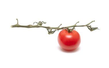 Bir domates bir sapın üzerinde dinleniyor. Sapı ince ve domates kırmızıdır. Kırılganlık ve incelik kavramı