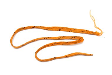 A long orange cord with black spots is laying on a white background. The cord is tied to a knot at one end and is long enough to reach the other end of the image