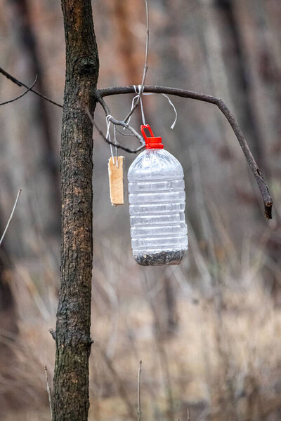 A bottle hanging from a tree branch. The bottle is white and red