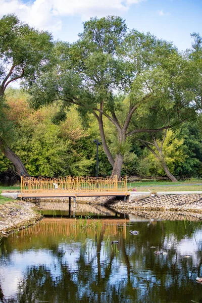 Arka planda ağaçlar olan bir köprü. Su sakin, ağaçlar yeşil.