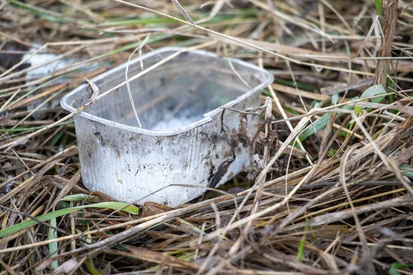 Kirli bir plastik kap uzun otların arasında duruyor. Konteynır toprak ve enkazla kaplı ve atılmış gibi görünüyor. İhmal ve terk etme kavramı