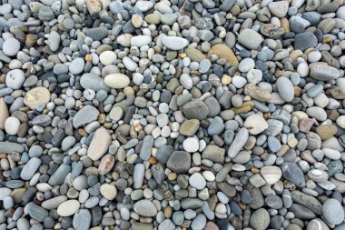 Ortasında tek bir taş olan bir taş yığını. Kayaların boyutları ve renkleri farklıdır ve görüntünün genel havası sakin ve sakindir.