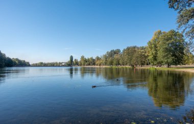 İçinde birkaç ördeğin yüzdüğü bir göl. Su sakin ve berrak. Gökyüzü mavi ve hiç bulut yok. Huzurlu ve huzurlu bir sahne.