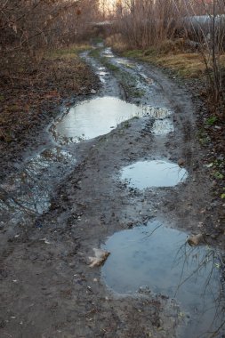 Su birikintileri olan çamurlu bir yol. Su birikintileri daire şeklinde.