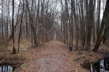 Yerde tabela olan bir ormanın içinden geçen bir patika. Yol yapraklarla kaplı ve ağaçlar çıplak.