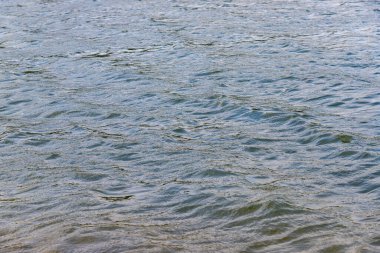 Su sakin ve hareketsiz, yüzeyde dalgalanmalar oluşuyor. Görüntü huzurlu ve huzurlu bir ruh haline sahip, sanki doğadaki sessiz bir anın bir görüntüsü gibi.