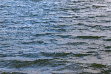 Su sakin ve hareketsiz, dalgalanma ya da dalgalanma yok. Gökyüzü açık ve mavi, ve su maviliğin derin bir tonu.