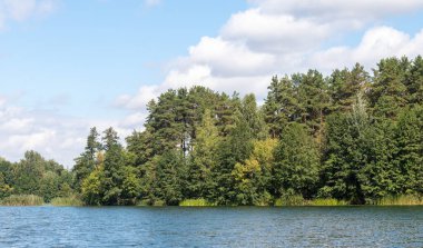 Arka planda ağaçlar olan bir su kütlesi. Ağaçlar yeşil ve su mavi.