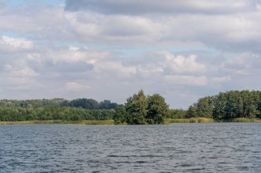 Ortasında ağaç olan bir su kütlesi. Gökyüzü bulutlu ve su sakin.