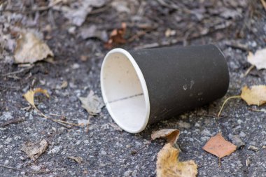 Yerde, bazı yaprakların yanında siyah bir fincan var. Bardak boş ve beyaz bir kenarı var. Yapraklar kahverengidir ve bardağın etrafına saçılmıştır. Sahne ihmal ve terk edilme hissi veriyor.