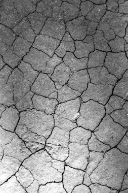 Görüntü çatlamış ve kırılmış bir yüzeye yakın plan. Çatlaklar derin ve geniş, ve yüzey yıpranmış ve yıpranmış görünüyor. Sahne çürüme ve terk edilmedir.