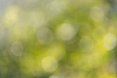 Sarı arkaplanlı yeşil yaprakların bulanık bir görüntüsü. Görüntü rüya gibi, ruhani bir kaliteye sahip, sanki bir resimden çok bir resimmiş gibi.