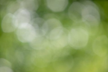 Görüntü bulanık yeşil bir arka plan ve beyaz daireler. Daireler görüntü boyunca dağılmış, bir hareket ve enerji hissi yaratıyor. Sahne heyecan ve canlılıktır.