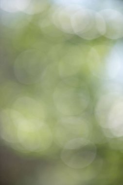 Görüntü bulanık yeşil bir zemin ve etrafa dağılmış birkaç daire. Daireler farklı boyutlarda ve üst üste biniyor gibi görünüyor. Derinlik ve hareket hissi yaratıyor.