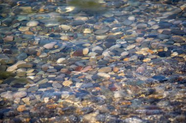 İçinde bir sürü taş olan bir su kütlesi. Su berrak ve kayalar suya saçılmış.