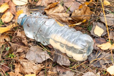 Bir şişe su yerde bazı yaprakların yanında yatıyor. Şişe boş ve yapraklar kahverengi.
