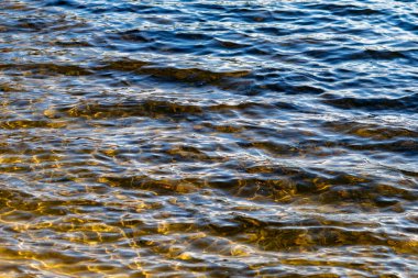 The water is calm and still, with a slight ripple here and there. The water is a mix of blue and brown, creating a serene and peaceful atmosphere