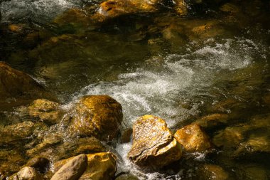 Kayalık bir nehir yatağının üzerinden bir su akıntısı akar. Su berrak ve kayalar kahverengi. Güneş ışığını yansıtan suyla sahne huzurlu ve huzurlu.