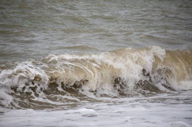 Okyanus dalgalı ve dalgalı, büyük bir dalga kıyıya çarpıyor. Su beyaz ve kahverenginin karışımı, bulanık bir görünüm yaratıyor. Sahne gücün ve öngörülemezliğin bir parçasıdır.