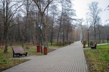 Patikası ve bankları olan bir park. Yol tuğlalardan yapılmıştır ve banklar tahtadan yapılmıştır. Park boş ve ağaçlar çıplak.