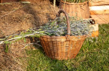 Otlar ve çiçeklerle dolu bir sepet çimlerin üzerinde duruyor. Sepet örülmüş ve kahverengi bir sapı var. Sahne huzurlu ve huzurlu, sepetle