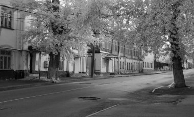 Birkaç evi ve ağacı olan bir cadde. Sokaklar boş ve evler eski. Ağaçlar çıplak ve sokaklar ıslak.