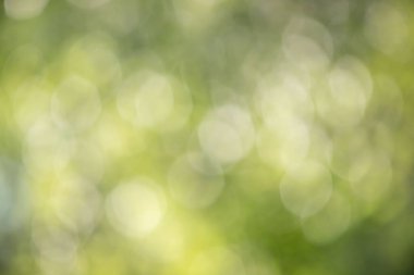 Görüntü bulanık yeşil bir zemin ve bir sürü küçük daireler. Daireler farklı boyutlarda ve görüntüye dağılmış durumda. Sahne, hareket ve enerjiden oluşur.