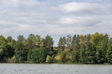 A forest with a body of water in the background. The sky is cloudy and the trees are green