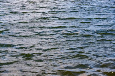 The water is calm and still. The sky is clear and bright. The water is blue and has no ripples