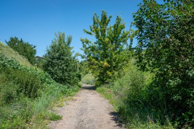 Her iki tarafında ağaçlar olan toprak bir yol. Ağaçlar yeşil ve gökyüzü mavi. Yol asfalt değil ve çimlerle çevrili.