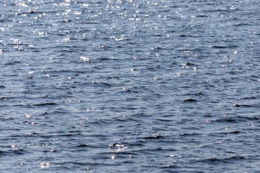 Su sakin ve berrak. Arada bir dalgalanmalar oluyor. Güneş suyun üzerinde parlıyor, ışıl ışıl bir etki yaratıyor.