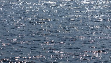 Su sakin ve durgun, bir sürü küçük dalgalanma ve dalgalarla. Güneş parlıyor, güzel ve huzurlu bir atmosfer yaratıyor.