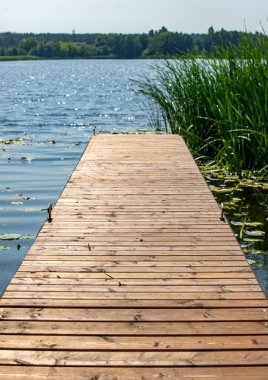 İskelesi su birikintisine çıkan ahşap bir iskele. Rıhtım ahşap ve etrafında birkaç bitki yetişiyor. Su sakin ve berrak, ve gökyüzü mavi. Huzurlu ve huzurlu bir sahne.