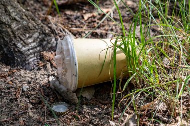 A cup is laying on the ground in a grassy area. The cup is empty and has a lid on it. The scene is somewhat messy and unkempt, with the cup and its contents scattered around the area