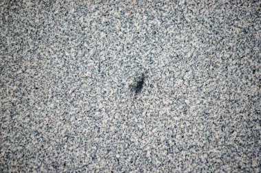 A grey and white stone surface with a black hole in the middle. The hole is surrounded by a lot of small black dots