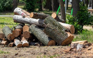 Bazıları ikiye bölünmüş bir odun yığını. Yığınlar otlak bir alanda.
