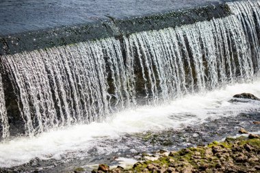 Bir şelale nehre akıyor. Su beyaz ve berrak. Su kayalık bir çıkıntıdan aşağı akıyor.