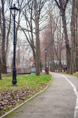 Yolu ve bankı olan bir park. Yol ağaçlarla kaplı ve iki sokak lambası var.